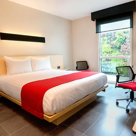 City Express Plus By Marriott Cali Colombia-3