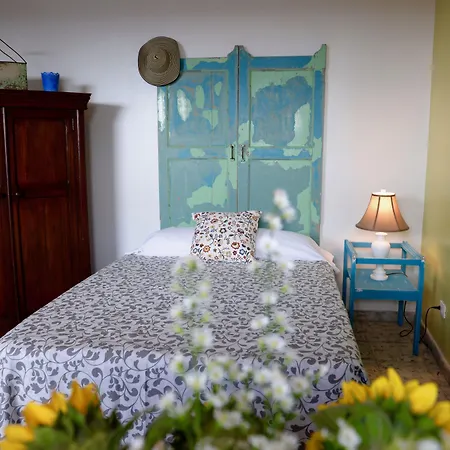 Magic Garden House-3